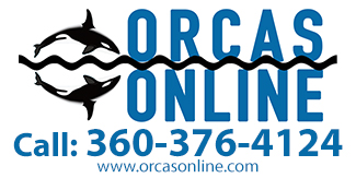 Orcas Online, Inc.